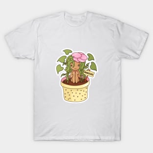 Mandrake T-Shirt